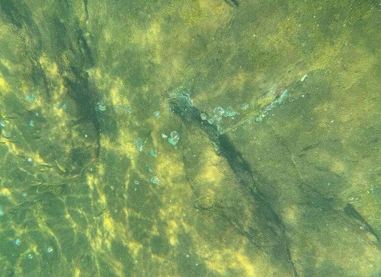Picture 13 for Activity From Lipari: Private Boat Tour with Snorkeling among Volcanoes, Bubbles, and Lava 4
