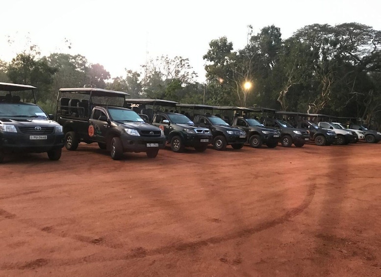 Wilpattu National Park Safari 1