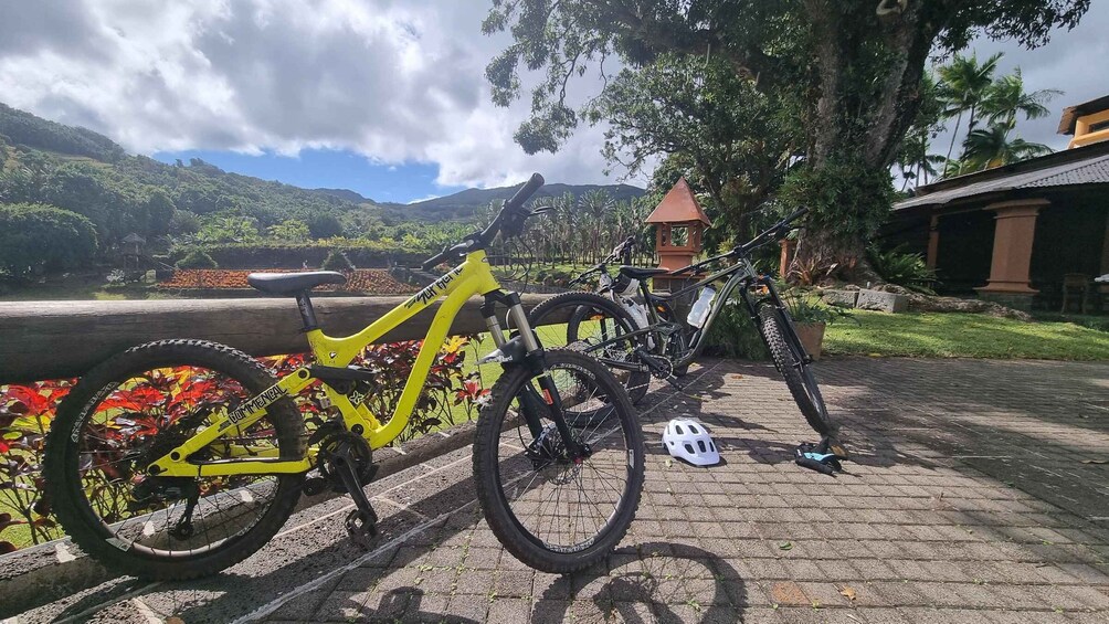 Picture 6 for Activity Mauritius: Scenic Bike Trails with Gear & Shuttle 5