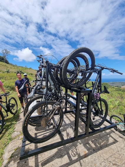Picture 7 for Activity Mauritius: Scenic Bike Trails with Gear & Shuttle 3