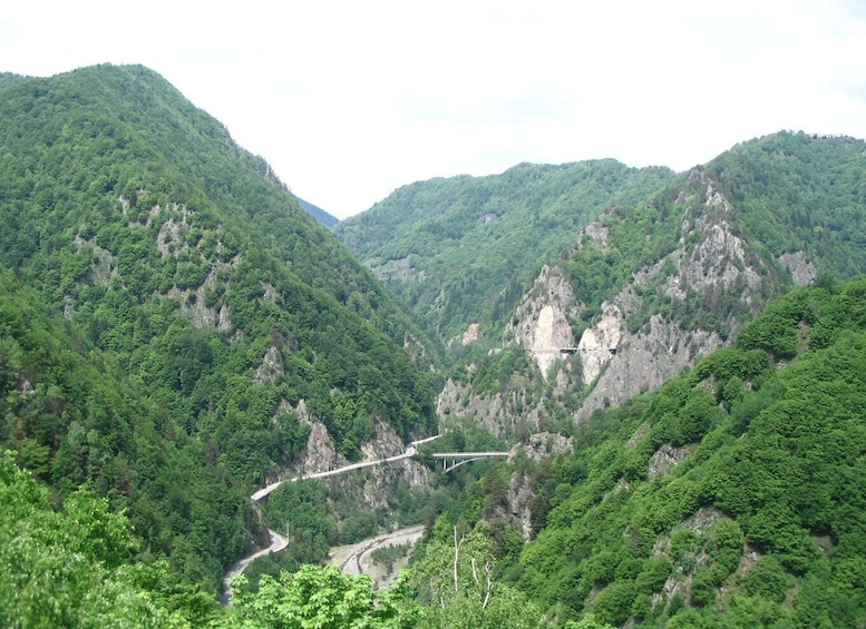 Picture 3 for Activity From Bucharest: Top Gear road and Bear Watching Tour 2