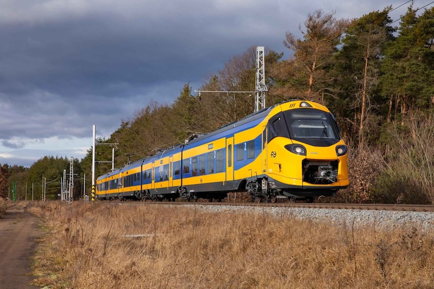 A yellow and blue train on tracks with a forested background. 1