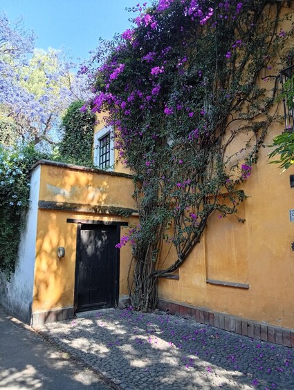 A building with a black door, surrounded by purple flowers and climbing plants. 2