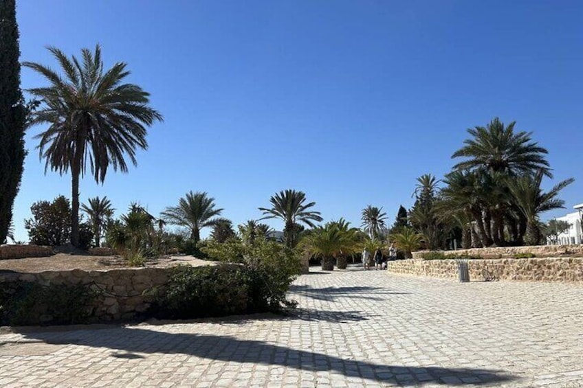 Crocodile Farm and Cultural Museums Experience in Djerba 2