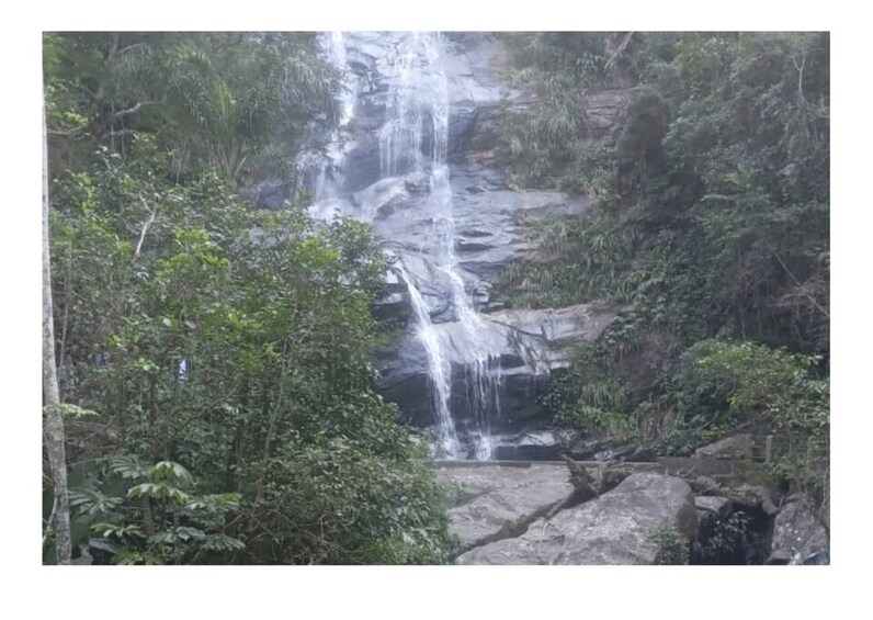 Picture 1 for Activity Floresta da Tijuca 3