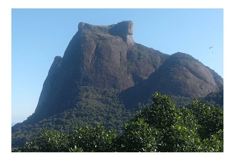 Picture 4 for Activity Floresta da Tijuca 4