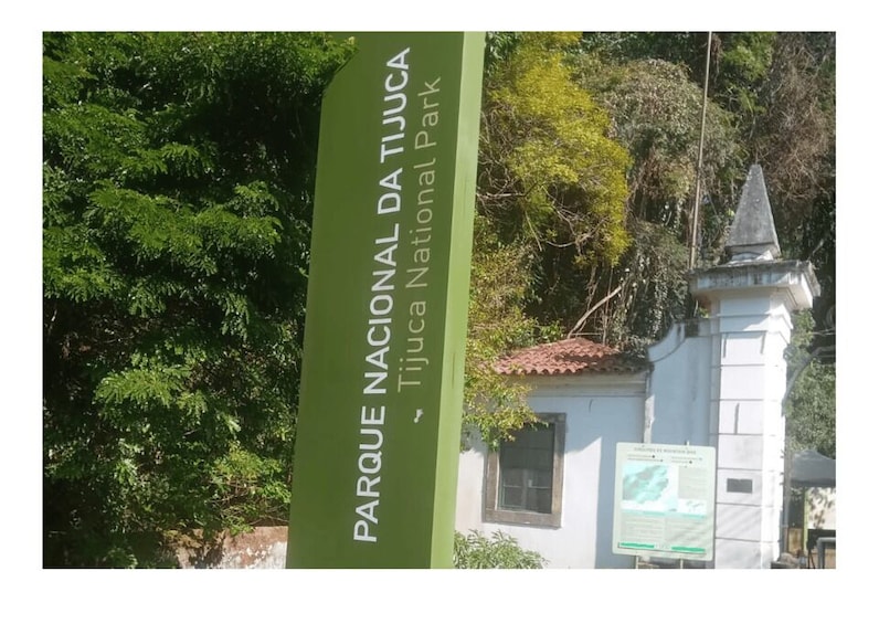Floresta da Tijuca 1
