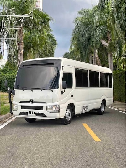 A white van parked on a road with palm trees and a building in the background. 2