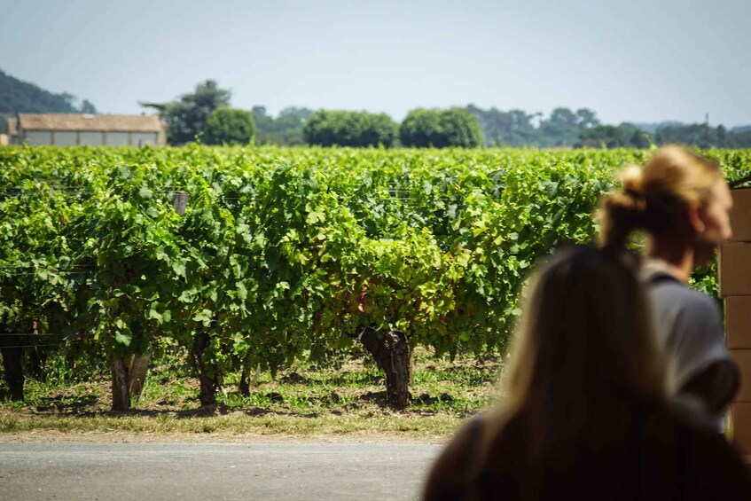 Picture 5 for Activity At the heart of a Grand Cru: tour & tasting in Saint-Émilion 5