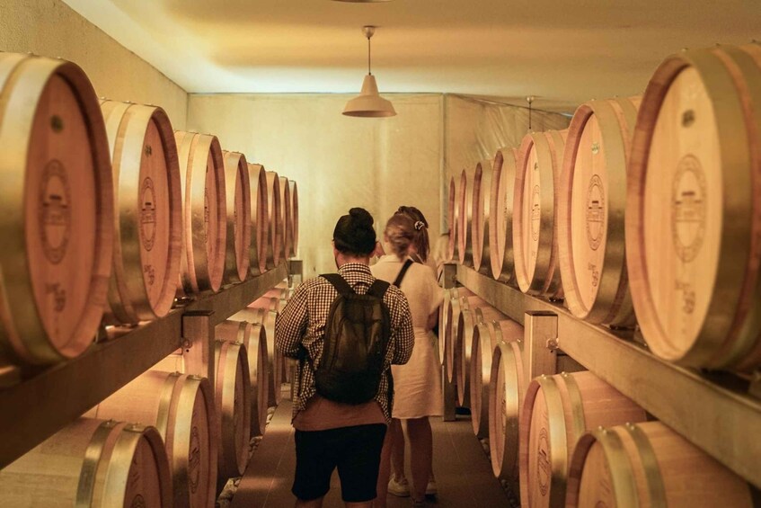At the heart of a Grand Cru: tour & tasting in Saint-Émilion 1