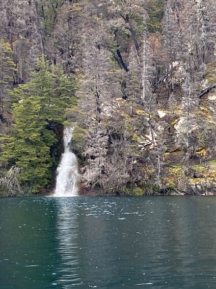 Picture 18 for Activity Bariloche: Brazo Tristeza Boat Tour and Forest Hike 2