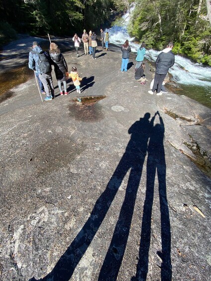 Picture 27 for Activity Bariloche: Brazo Tristeza Boat Tour and Forest Hike 3