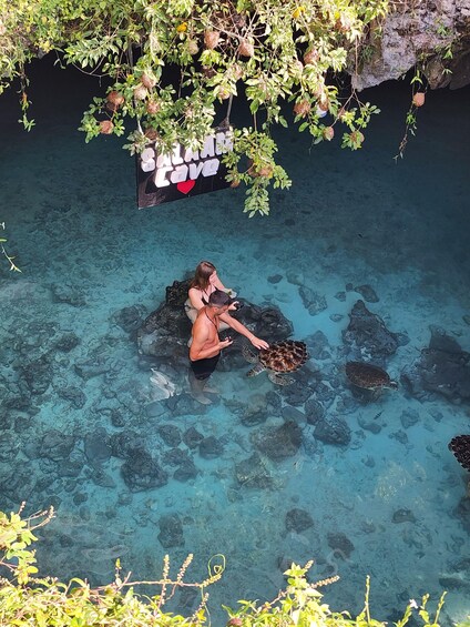 A person feeding a sea turtle in clear blue water with rocks and a sign in the background. 2