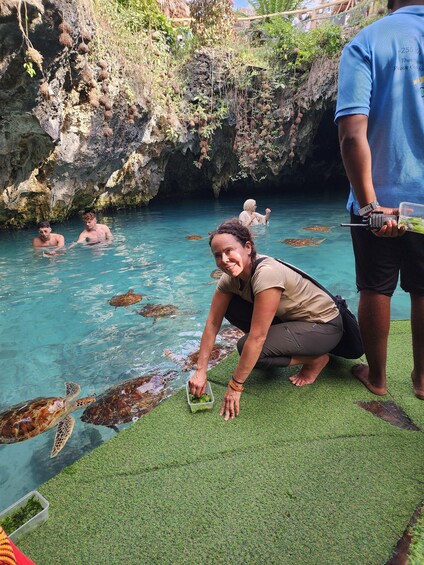 A person feeding sea turtles in a clear blue pool surrounded by rocky cliffs. 3