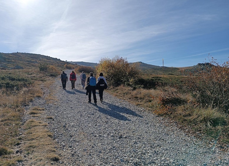 Picture 2 for Activity Sofia: Thrilling Hike to the Black Peak of Vitosha Mountain 4