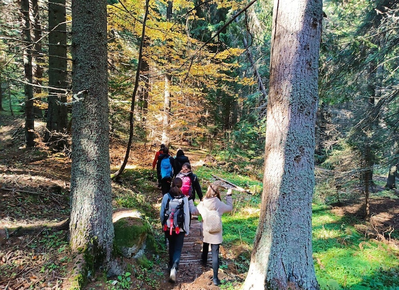 Picture 1 for Activity Sofia: Thrilling Hike to the Black Peak of Vitosha Mountain 3