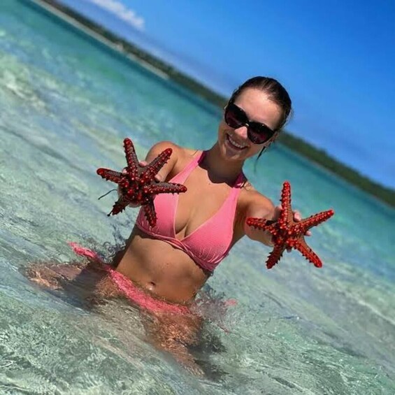 A person in a pink bikini holding starfish in clear blue water. 3