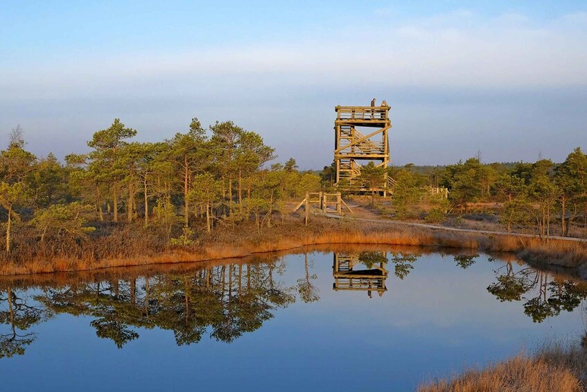 A wooden observation tower surrounded by trees and a calm body of water reflecting the structure. 5
