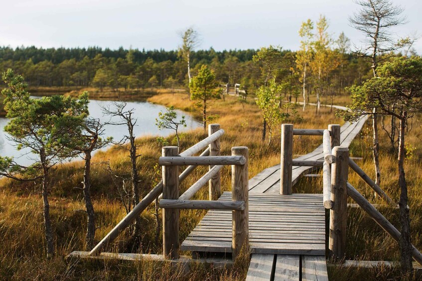 From Riga: Kemeri National Park and Kuldiga Tour 1