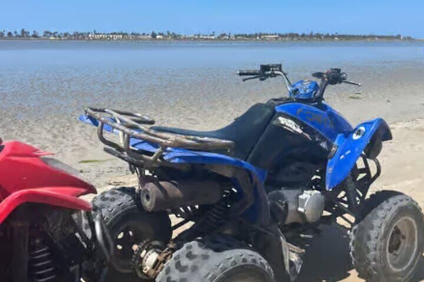 Djerba Quad Bike Tour with 3 Routes to Choose From 5