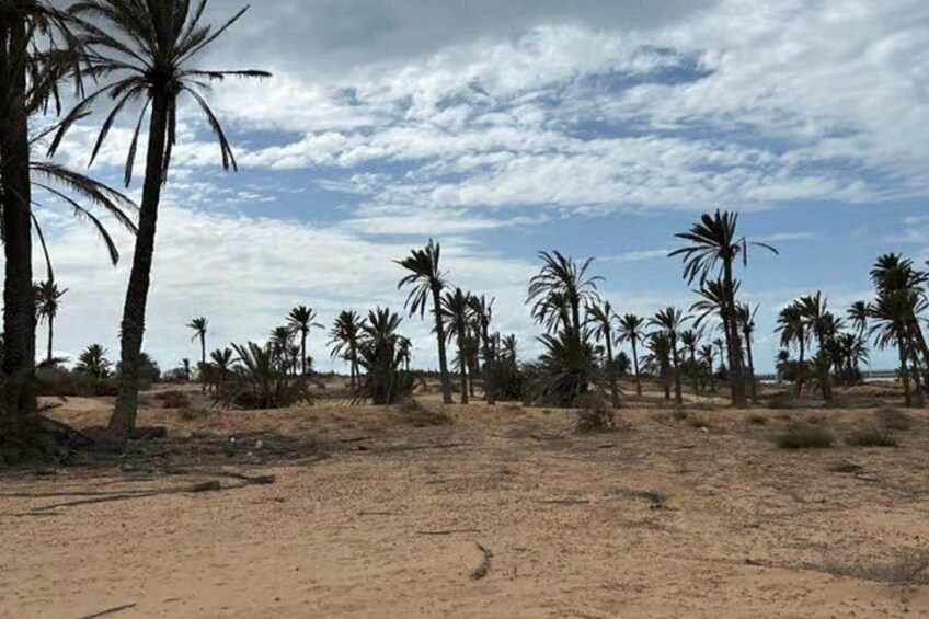 Djerba Quad Bike Tour with 3 Routes to Choose From 4