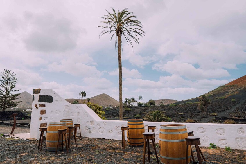 A rustic outdoor seating area with wooden barrels and stools, a palm tree, and a white wall with a unique texture. 3