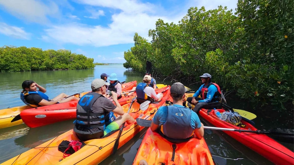 Picture 9 for Activity Ile d Ambre Kayaking 5