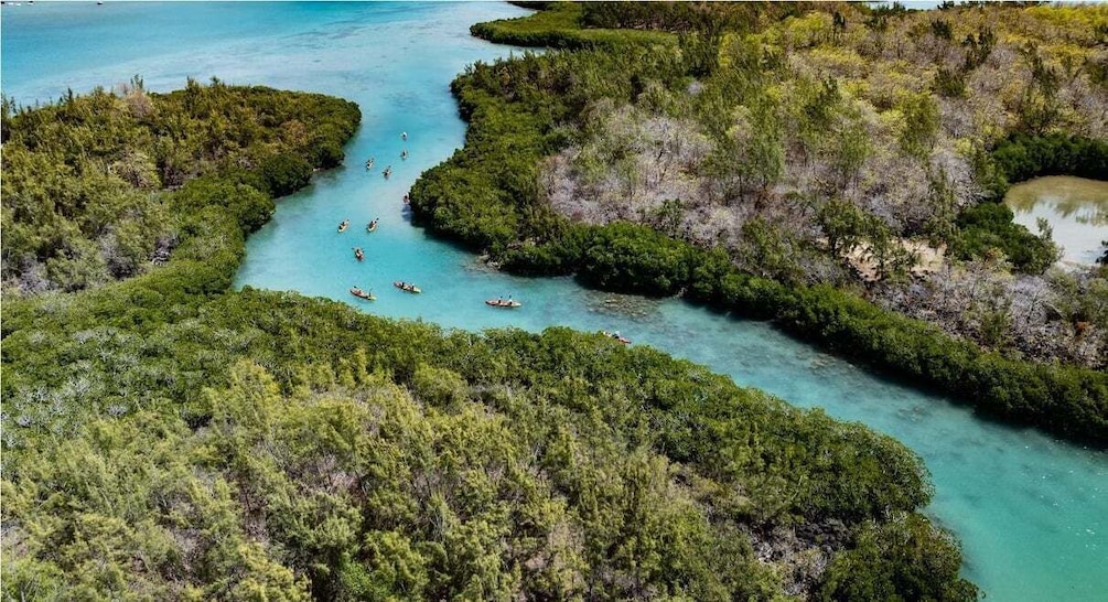 Picture 8 for Activity Ile d Ambre Kayaking 4