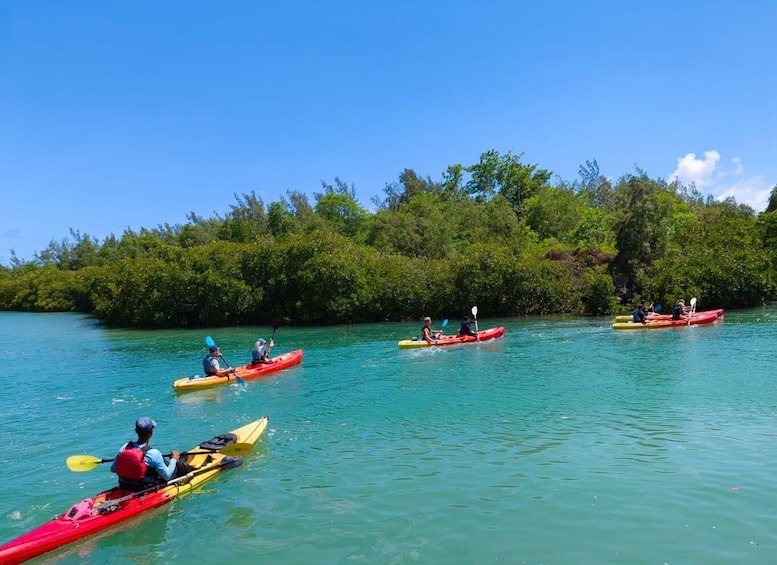 Picture 10 for Activity Ile d Ambre Kayaking 3