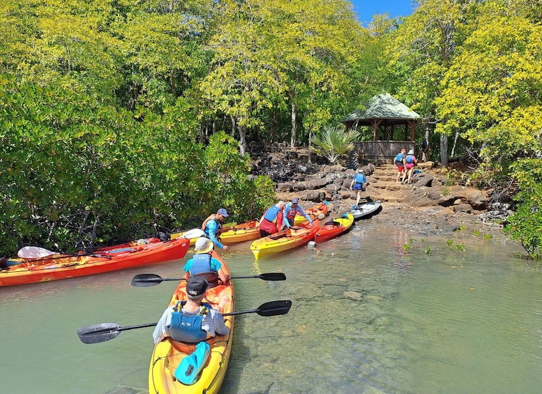 Picture 4 for Activity Ile d Ambre Kayaking 2