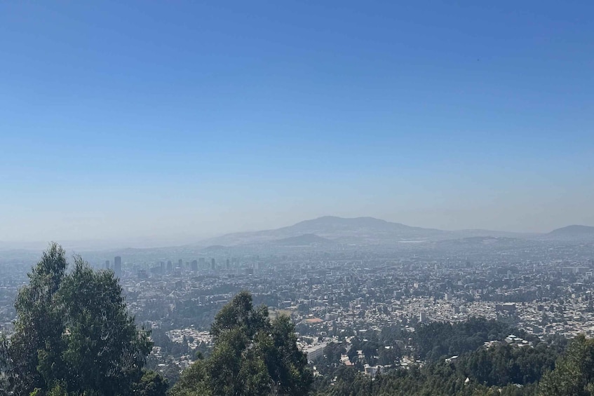 A cityscape with a mountain range in the background. 3