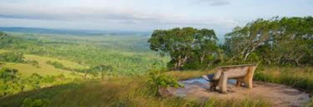 A landscape with a large tree, a river, and a distant view of the horizon. 4