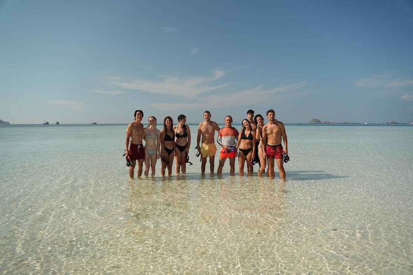 A group of people standing in shallow water at a beach with clear skies and distant islands. 1