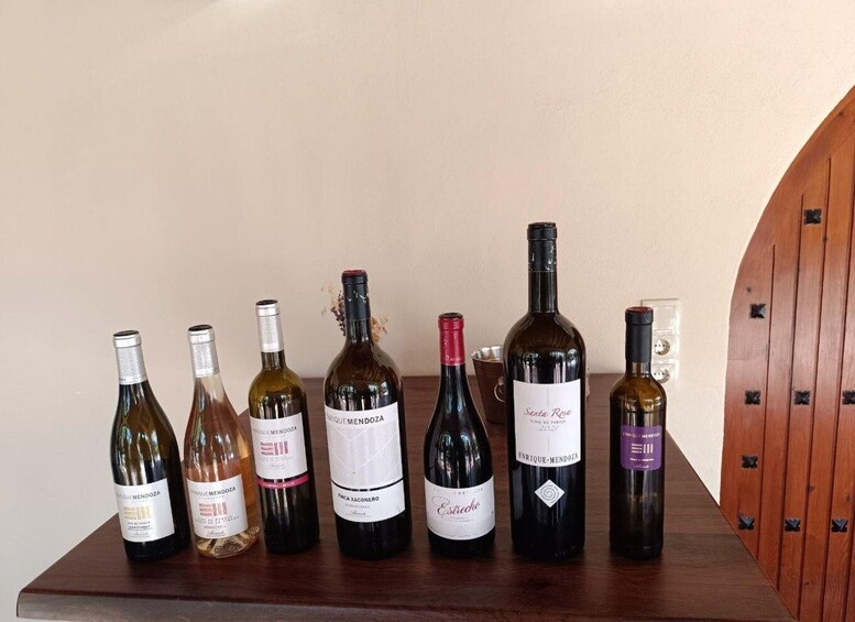 A wooden table with seven wine bottles of various types and labels. 5