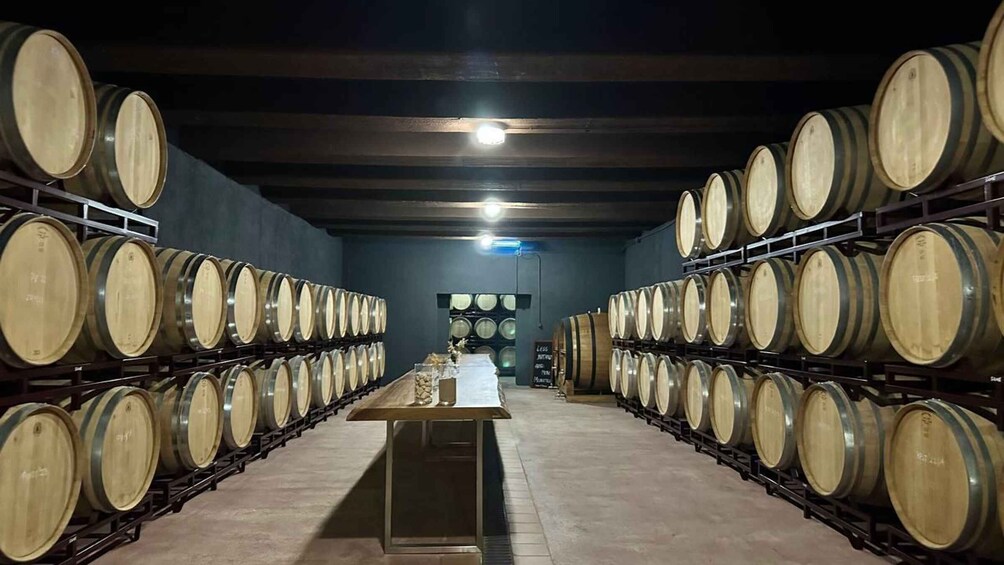 A wine cellar with rows of wooden barrels on shelves. 1