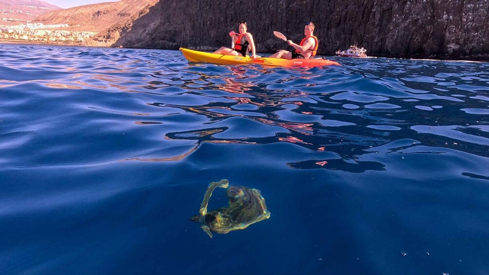 Picture 11 for Activity Tenerife: Small-Group Kayak & Snorkel Tour with Marine Fauna 5