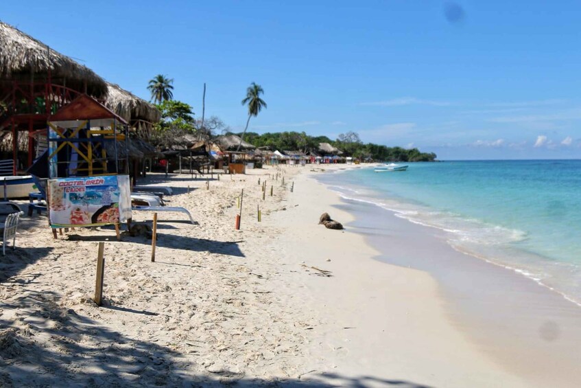 A sandy beach with thatched-roof huts, a signboard, and a small boat in the water. 4