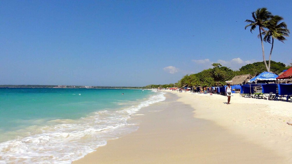 A beach with clear turquoise water, sandy shore, palm trees, and beach umbrellas. 2