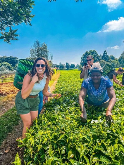 Picture 3 for Activity Nairobi: Tigoni Tea Farm Tour with Tea Tasting & Lunch 2