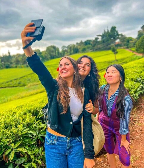 Nairobi: Tigoni Tea Farm Tour with Tea Tasting & Lunch 1