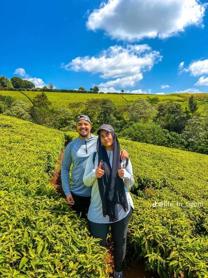 Picture 2 for Activity Nairobi: Tigoni Tea Farm Tour with Tea Tasting & Lunch 5