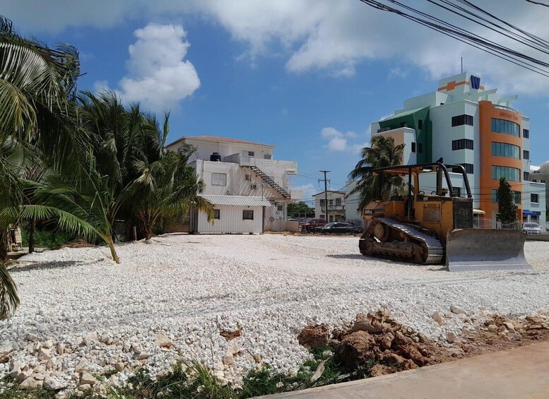 A construction site with a bulldozer, palm trees, and buildings. 5