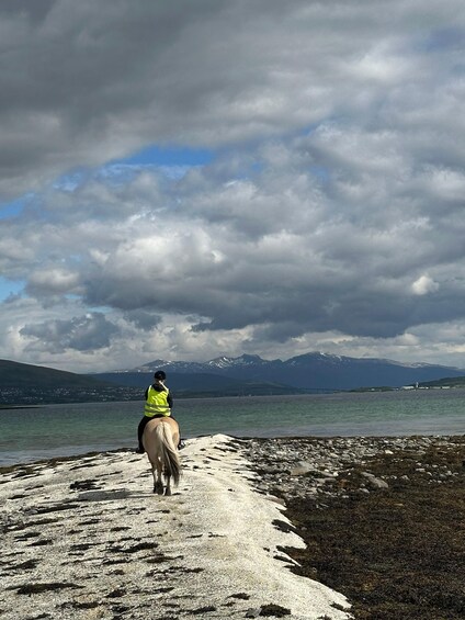 Picture 21 for Activity Tromsø: Horseback Riding Tour 5