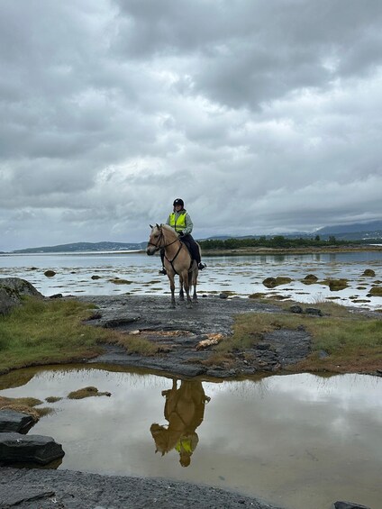 Picture 22 for Activity Tromsø: Horseback Riding Tour 2