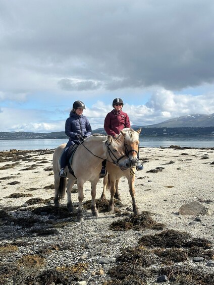 Picture 25 for Activity Tromsø: Horseback Riding Tour 3