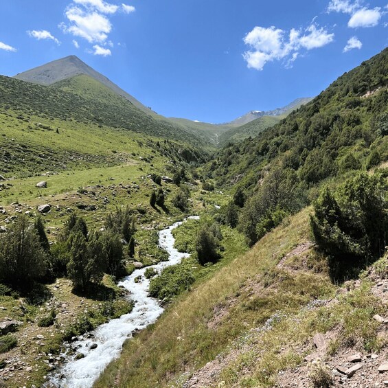 A river flowing through a mountainous valley with dense greenery and a prominent peak in the background. 2
