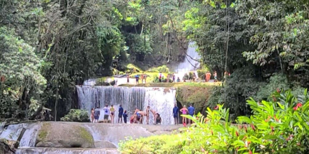 Jamaica: YS Falls and Black River Safari Tour 1