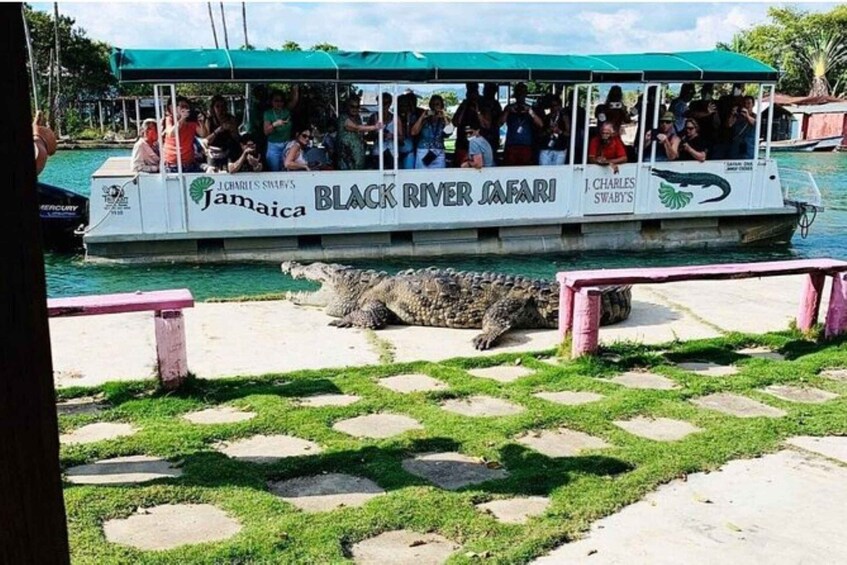 Picture 4 for Activity Jamaica: YS Falls and Black River Safari Tour 2
