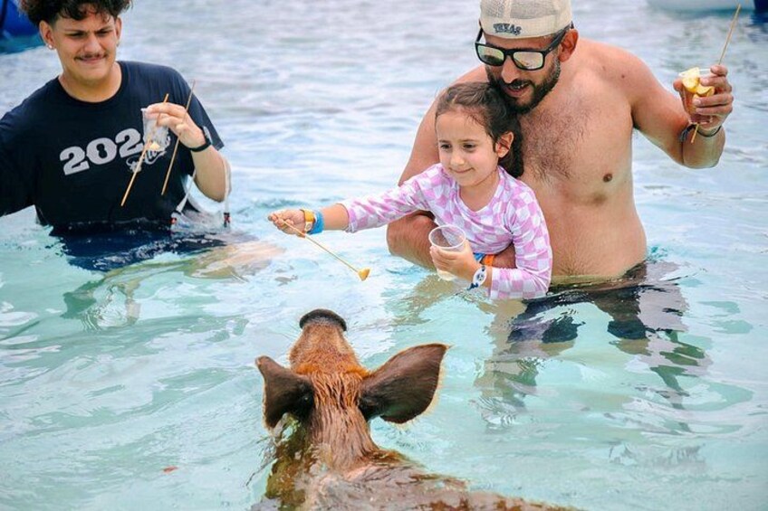 A person feeding a sea turtle in the water. 2