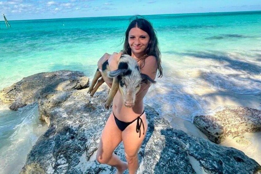Swimming Pigs Of Rose Island Water Taxi & Turtle Viewing Nassau 5
